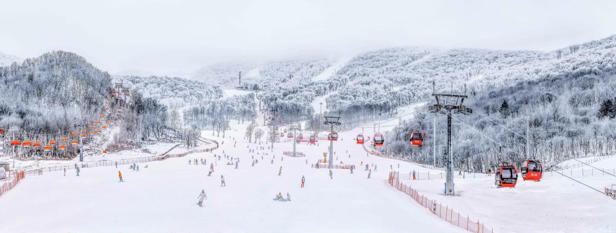 中国旅游集团官网展示的松花湖滑雪场实景